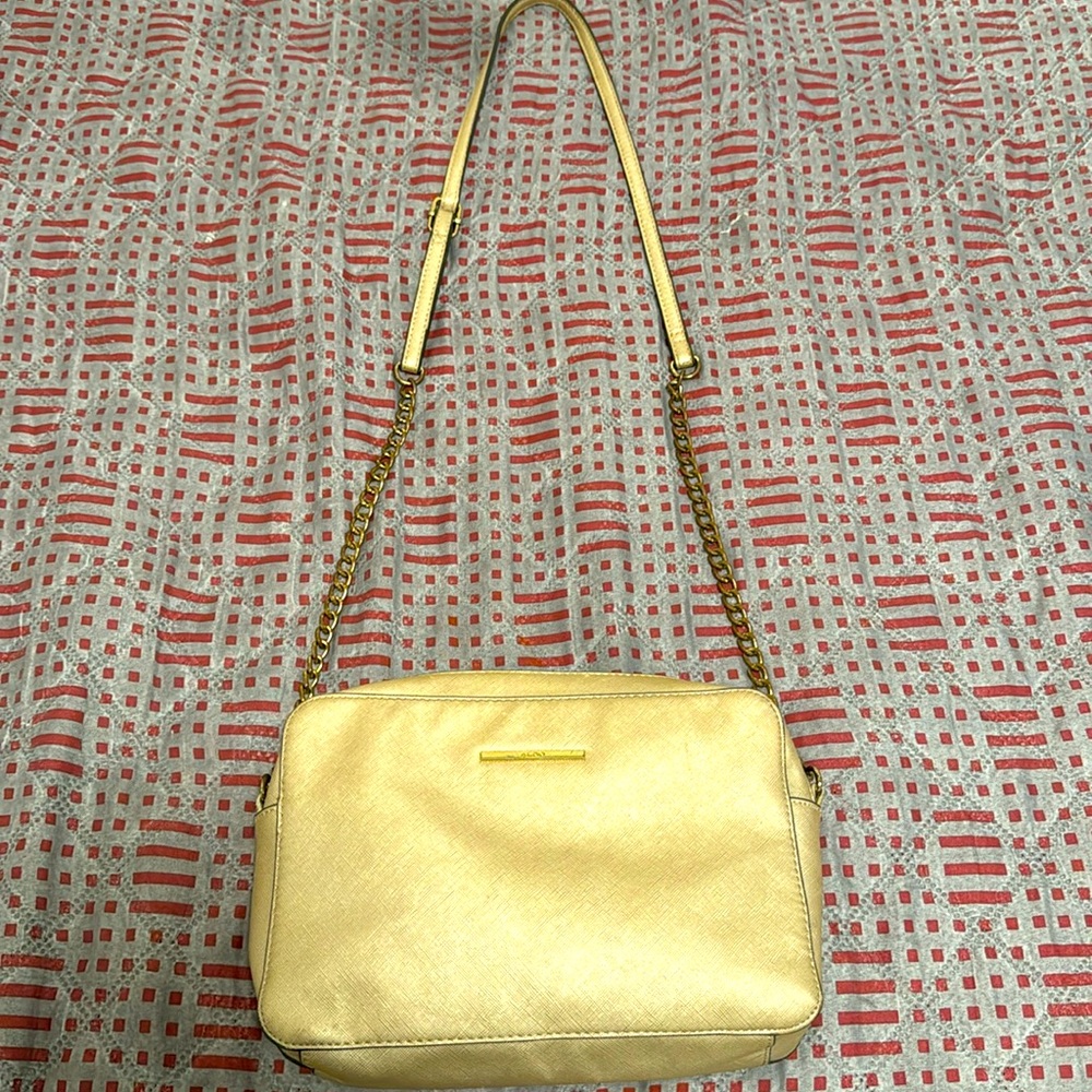 Aldo purse